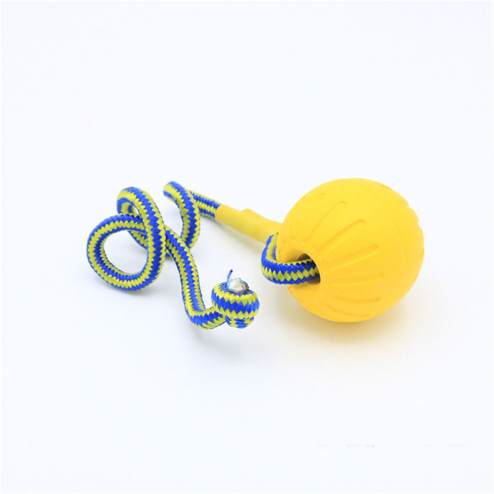 Palla da Addestramento per Can - Indestructible Dog Chew Toy recensione e prezzo