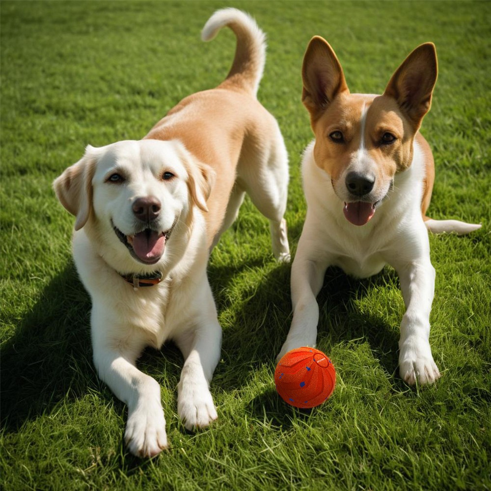 Palla Intelligente per Cani Re - Automatic Moving Dog Ball recensione e prezzo