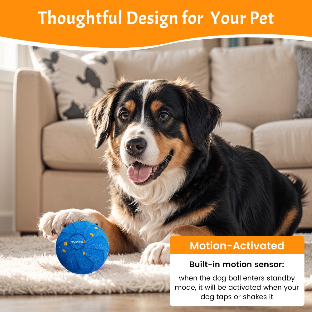 Palla Intelligente per Cani Re - Automatic Moving Dog Ball recensione e prezzo
