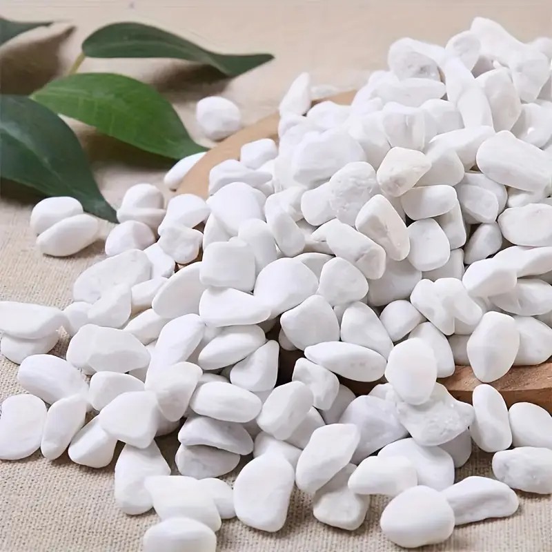 Perlite di alta qualità da 1L  - Pet Beds recensione e prezzo