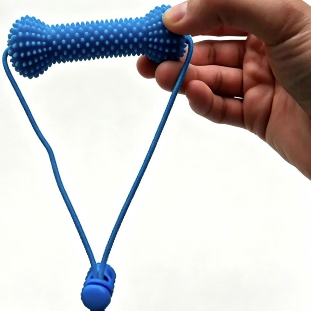 Bastoncino da masticare per an - Interactive Squeaky Plush Dog Toy recensione e prezzo