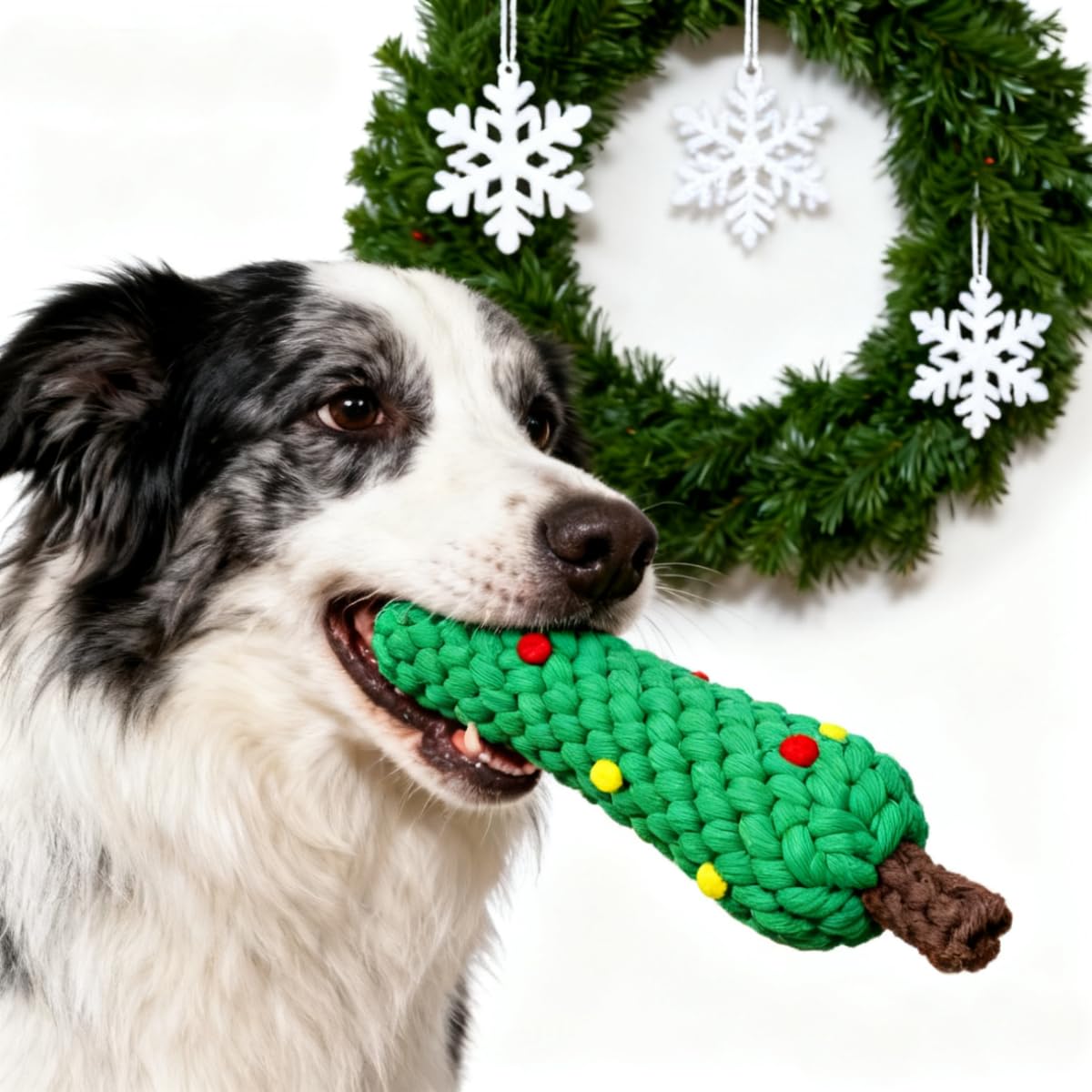 Giocattoli da masticare per ca - Teeth Cleaning Dog Chew Bone recensione e prezzo