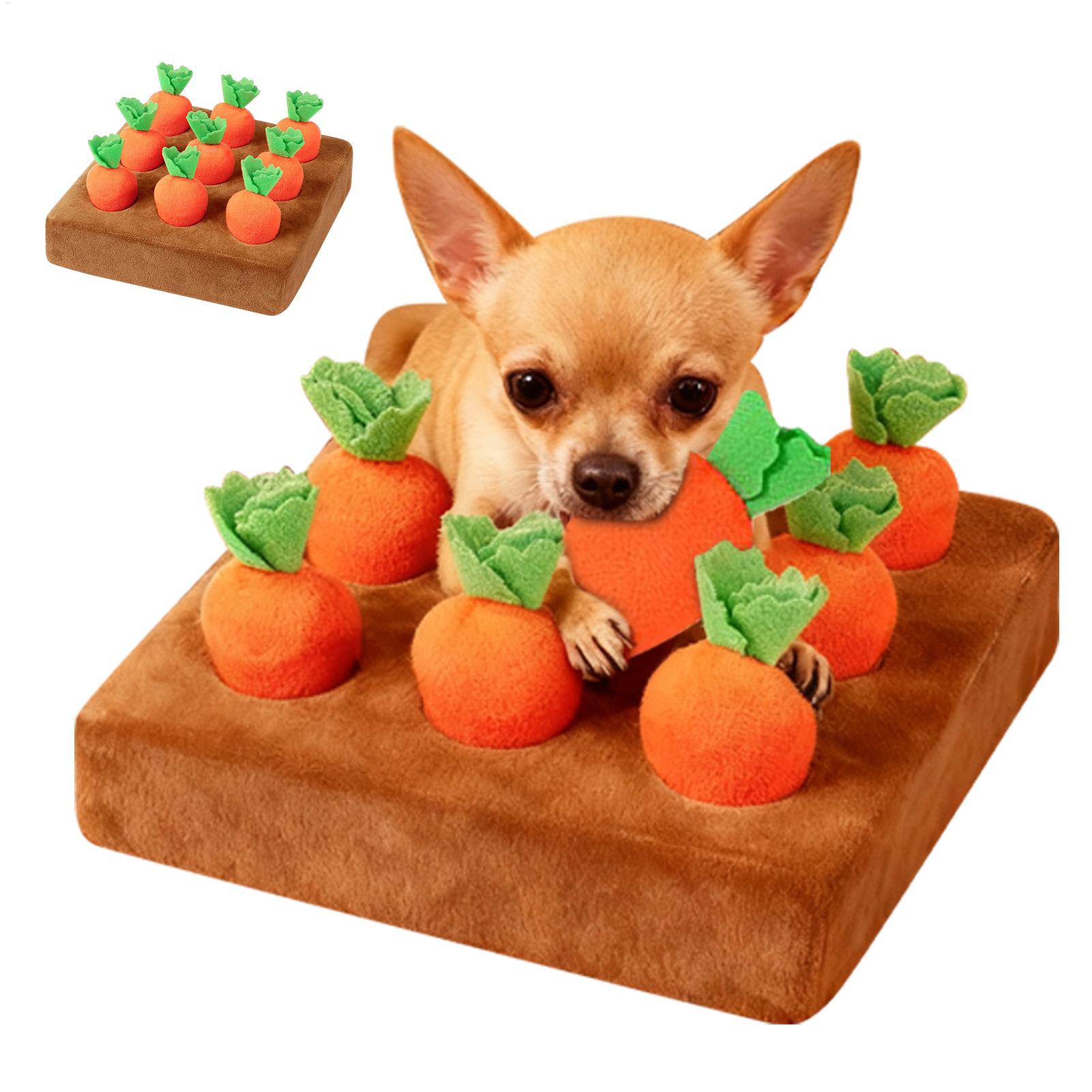 Giocattoli interattivi a forma - Interactive Squeaky Plush Dog Toy recensione e prezzo