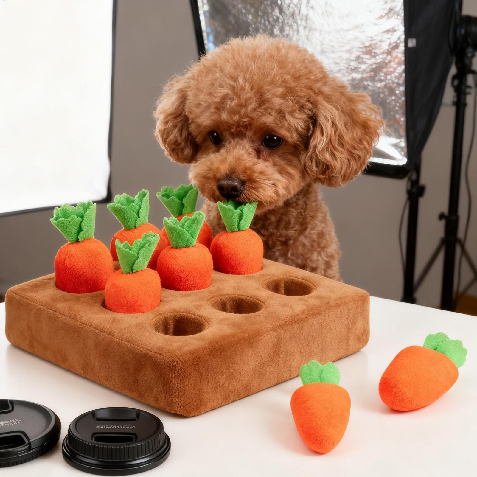 Giocattoli interattivi a forma - Interactive Squeaky Plush Dog Toy recensione e prezzo