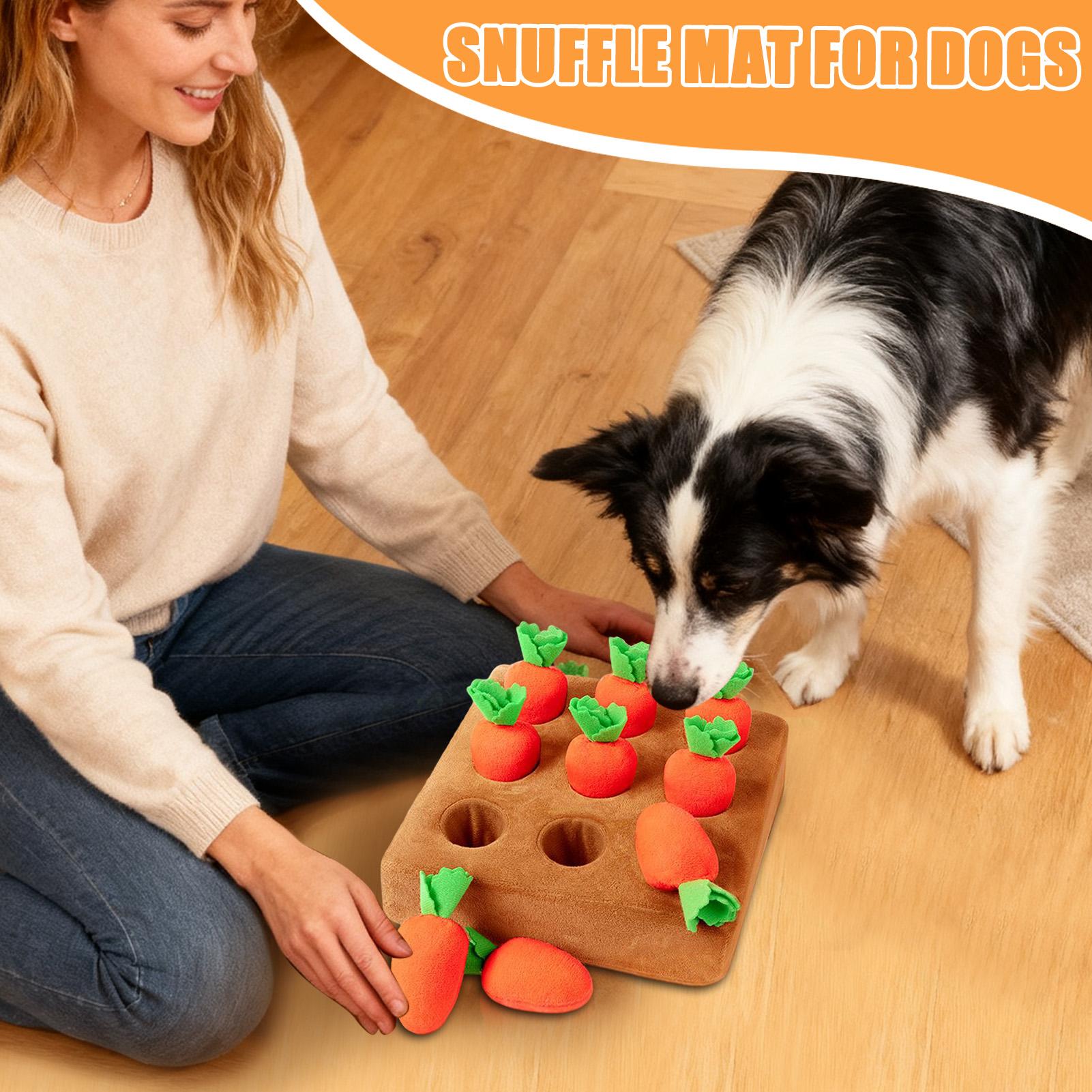 Giocattoli interattivi a forma - Interactive Squeaky Plush Dog Toy recensione e prezzo