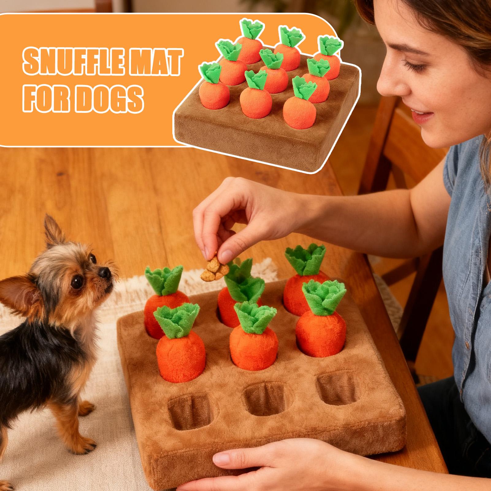 Giocattoli interattivi a forma - Interactive Squeaky Plush Dog Toy recensione e prezzo
