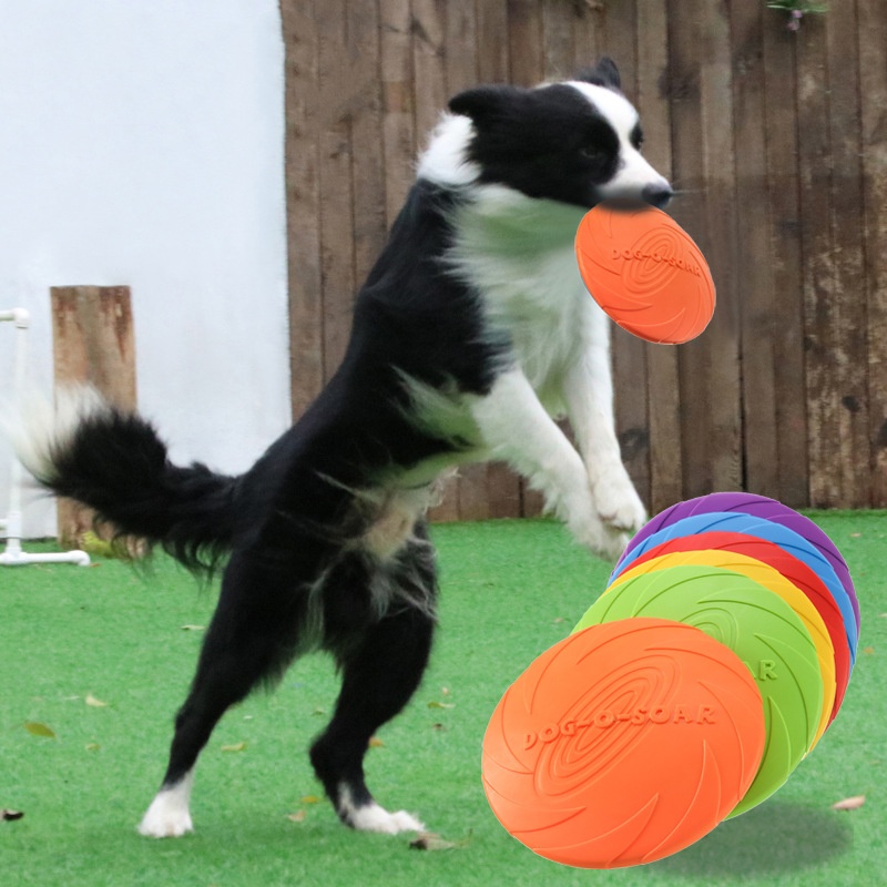 Giocattolo interattivo con dis - Flying Disc Dog Training Toy recensione e prezzo