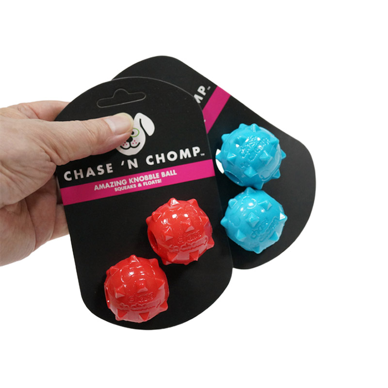 GIOCATTOLO CAITEC Giocattoli D - Interactive Squeaky Plush Dog Toy recensione e prezzo