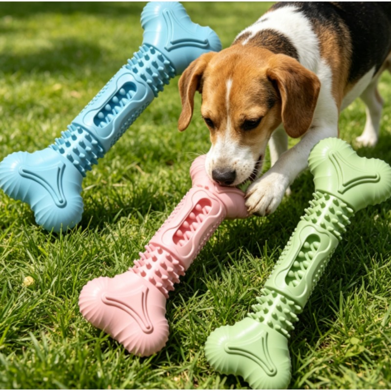 Nuovo Set di Giocattoli Resist - Teeth Cleaning Dog Chew Bone recensione e prezzo